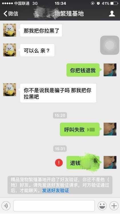 花400块在网上买的萨摩耶养了一个星期噩梦开始了