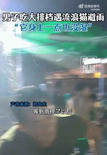 叔叔阿姨可以不赶我走吗外面雨太大了！